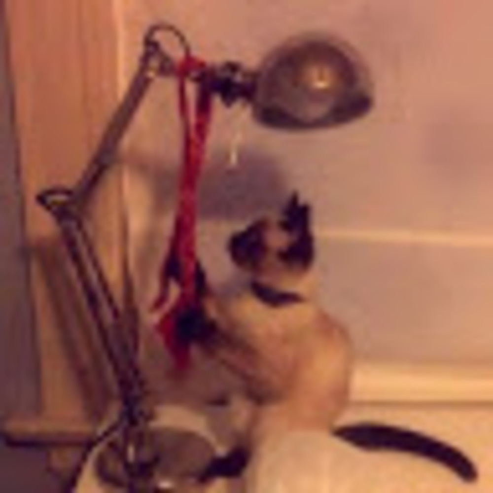 Meet your Posher, Jordyn